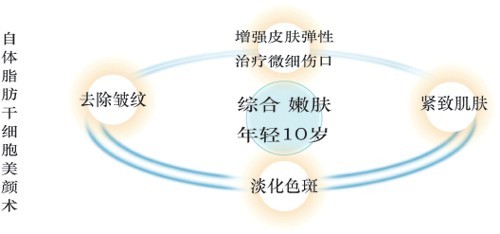 Yestar自体脂肪移植除皱效果