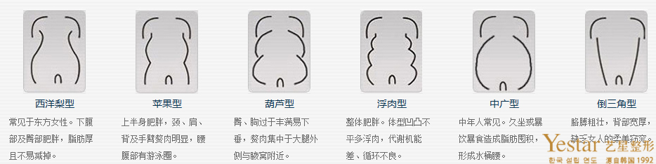 Yestar艺星不体型图