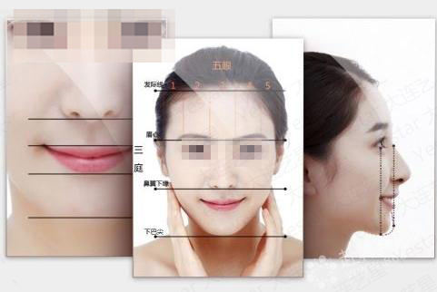 面部美学标准