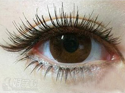 上海孕睫术价格多少