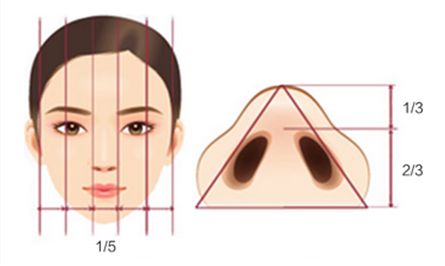 鼻翼缩小价格是多少