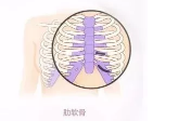 肋软骨鼻整形