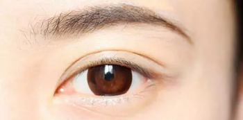 纹眉