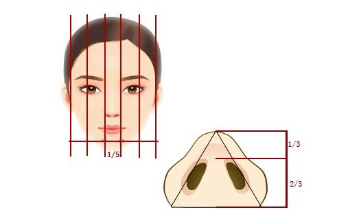 自体软骨隆鼻修复效果好吗