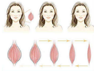 瘦脸原理示意