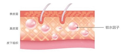 缩水因子逐渐流失