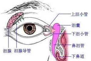 开眼角为什么会一直流泪