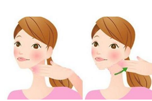 上海隆下巴价格参考是多少呢