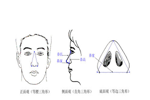 常用的鼻翼整形方法有哪几种呢